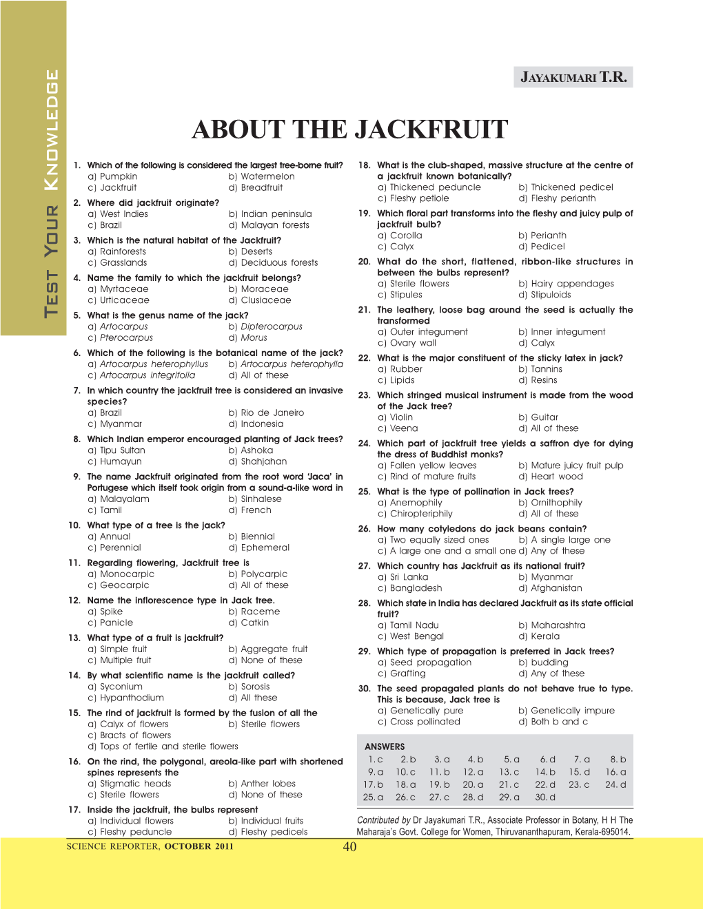 About the Jackfruit