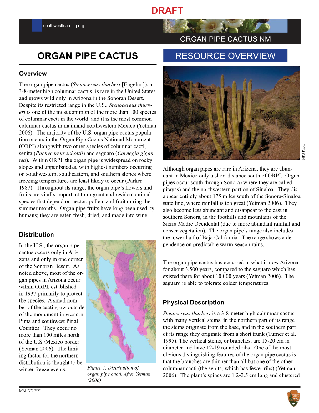 Organ Pipe Cactus Draft