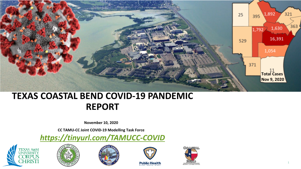 Texas Coastal Bend Covid-19 Pandemic Report