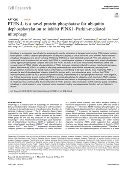 PTEN-L Is a Novel Protein Phosphatase for Ubiquitin Dephosphorylation to Inhibit PINK1–Parkin-Mediated Mitophagy