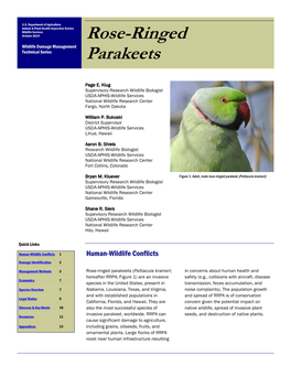 Rose-Ringed Parakeets