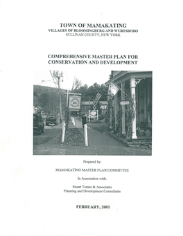 Town of Mamakating Master Plan 2001 (PDF)