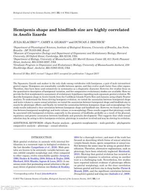 Hemipenis Shape and Hindlimb Size Are Highly Correlated in Anolis Lizards