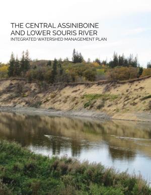 The Central Assiniboine and Lower Souris River Integrated Watershed Management Plan Executive Summary