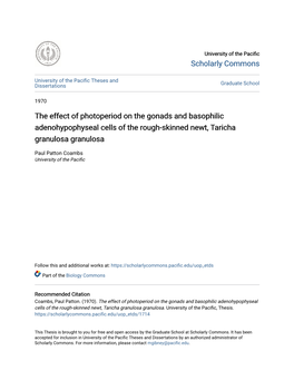 The Effect of Photoperiod on the Gonads and Basophilic Adenohypophyseal Cells of the Rough-Skinned Newt, Taricha Granulosa Granulosa