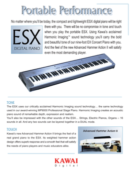 No Matter Where You'll Be Today, the Compact and Lightweight ESX Digital