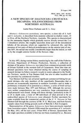 A NEW SPECIES of SOLENOCERA (CRUSTACEA: DECAPODA: SOLENOCERIDAE) from NORTHERN AUSTRALIA Isabel Perez Farfante and D