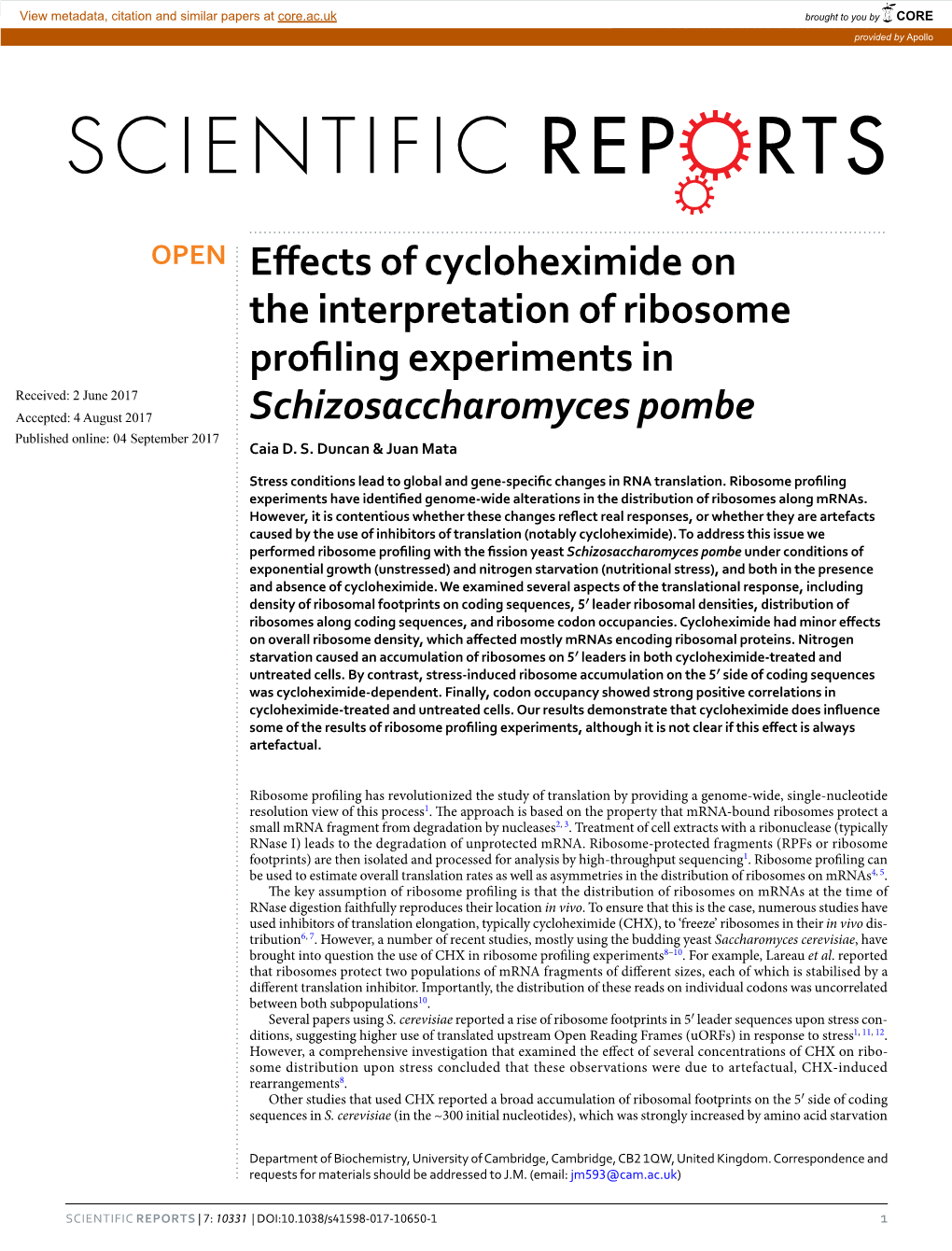 Effects of Cycloheximide on the Interpretation of Ribosome Profiling