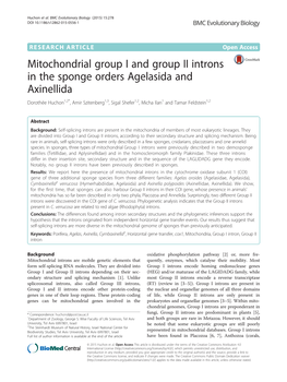 Mitochondrial Group I and Group II Introns in the Sponge Orders