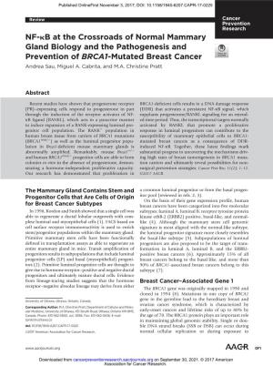 NF-Κb at the Crossroads of Normal Mammary Gland Biology and the Pathogenesis and Prevention of BRCA1-Mutated Breast Cancer