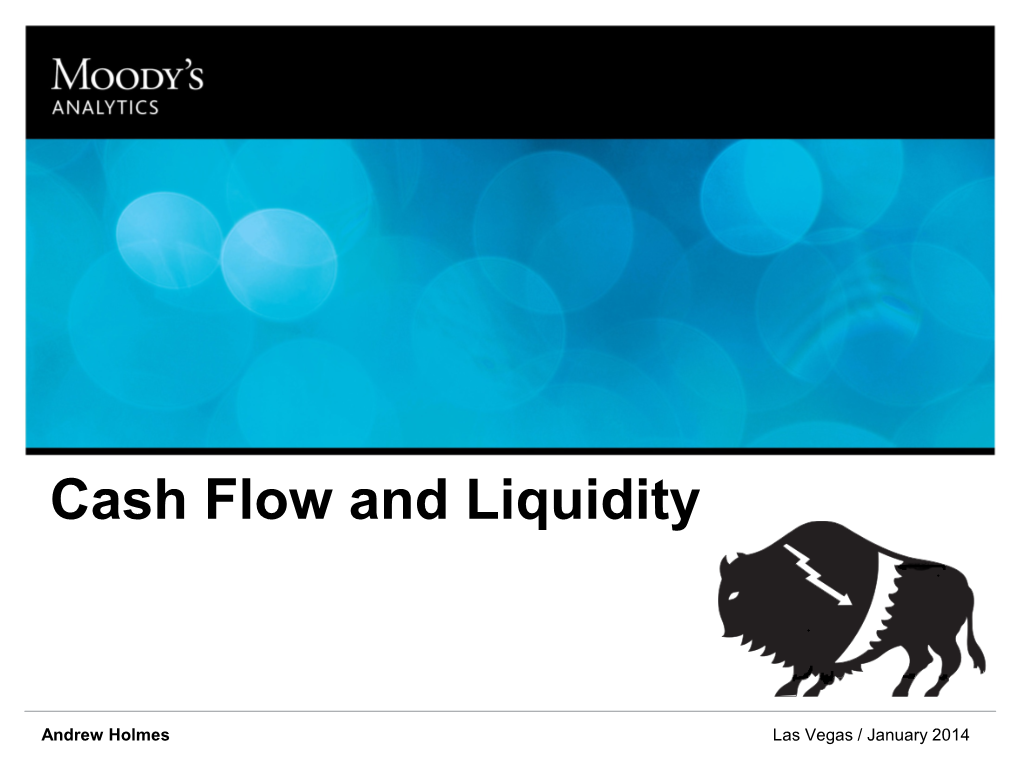 Cash Flow and Liquidity