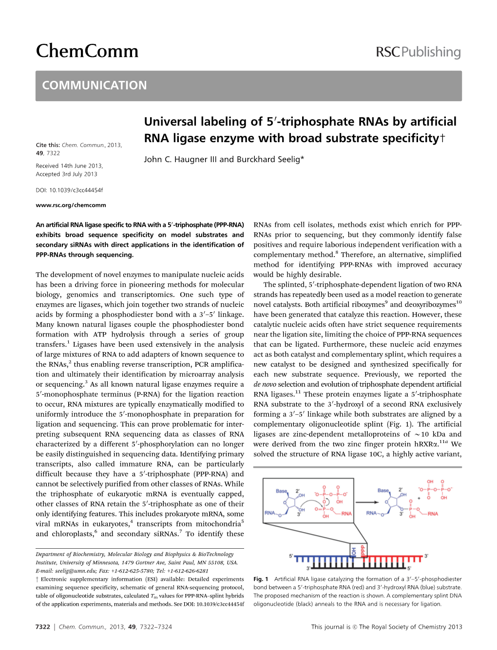 Triphosphate Rnas by Artificial RNA Ligase Enzyme with Broad Substrate Specificity