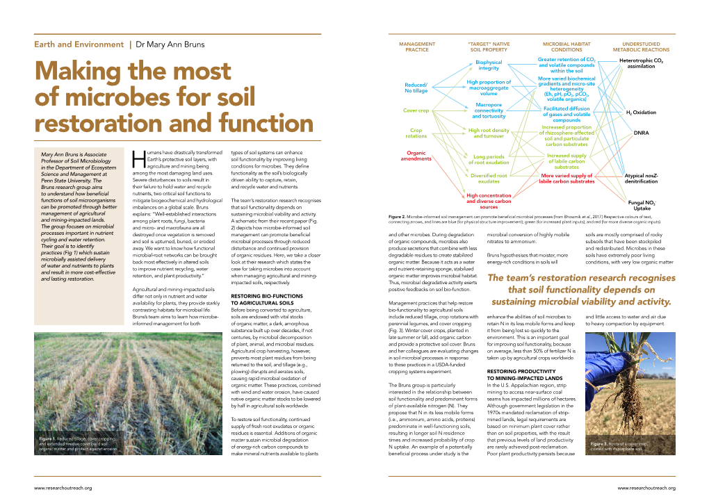Making the Most of Microbes for Soil Restoration and Function