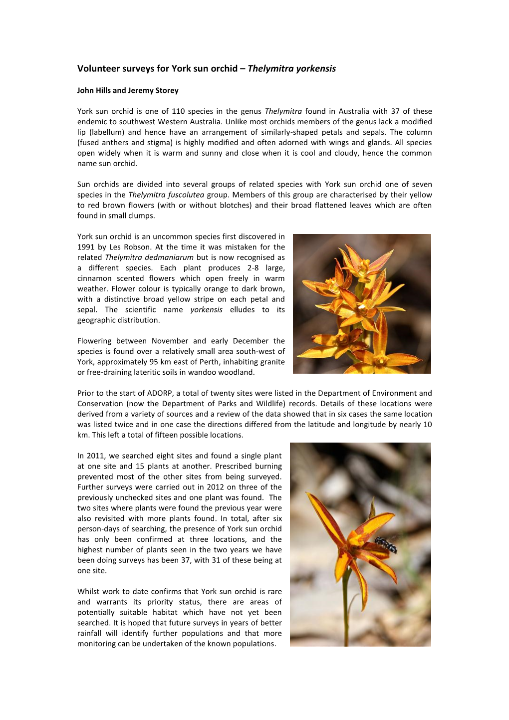 Volunteer Surveys for York Sun Orchid – Thelymitra Yorkensis