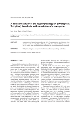 Orthoptera Tetrigidae) from India with Description of a New Species