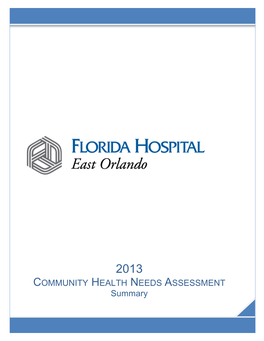 2013 COMMUNITY HEALTH NEEDS ASSESSMENT Summary