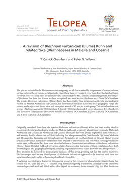 Blechnum Vulcanicum (Blume) Kuhn and Related Taxa (Blechnaceae) in Malesia and Oceania