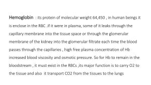 Hemoglobin : Its Protein of Molecular Weight 64,450 , in Human Beings It