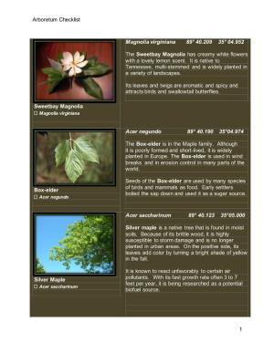 Arboretum Checklist 1 Sweetbay Magnolia Magnolia Virginiana 89