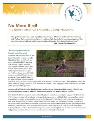 Read More About Our North America Sandhill Crane Program