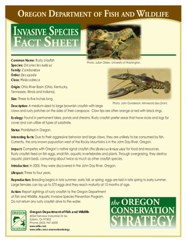 Rusty Crayfish Fact Sheet