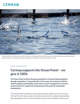 Cermaq Supports the Ocean Panel – We Give It 100%