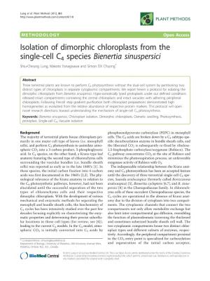 Isolation of Dimorphic Chloroplasts from the Single-Cell C4 Species Bienertia Sinuspersici Shiu-Cheung Lung, Makoto Yanagisawa and Simon DX Chuong*