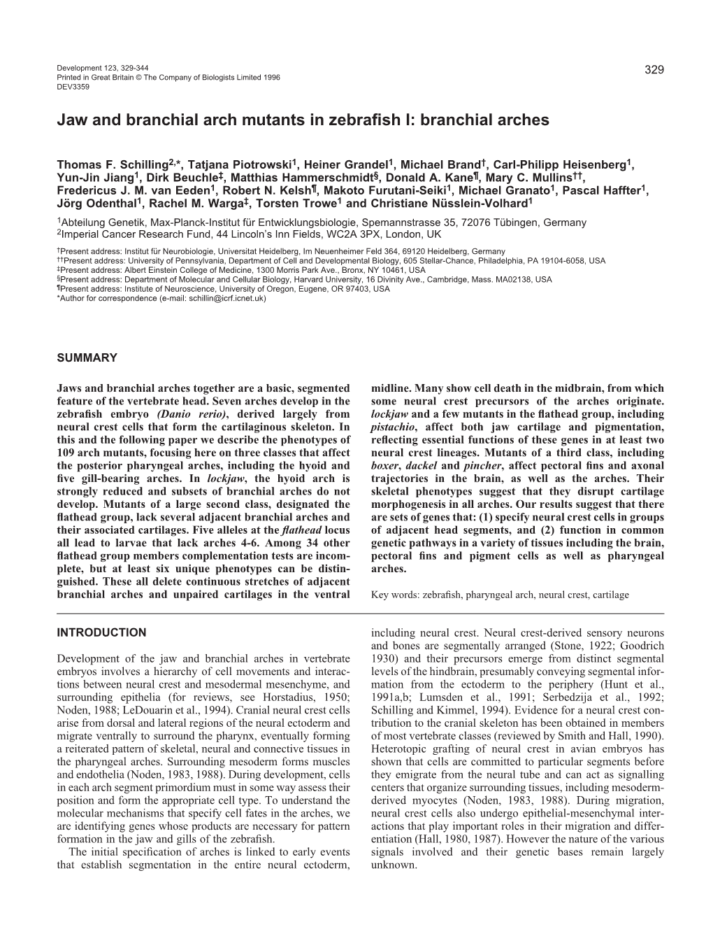 Jaw and Branchial Arch Mutants in Zebrafish I