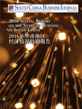 Amcham-Special Report-FINAL-Web