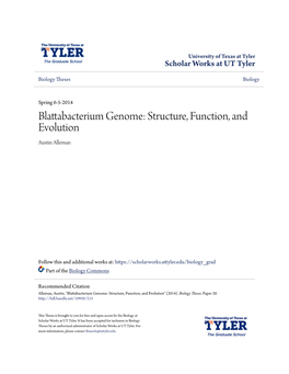 Blattabacterium Genome: Structure, Function, and Evolution Austin Alleman