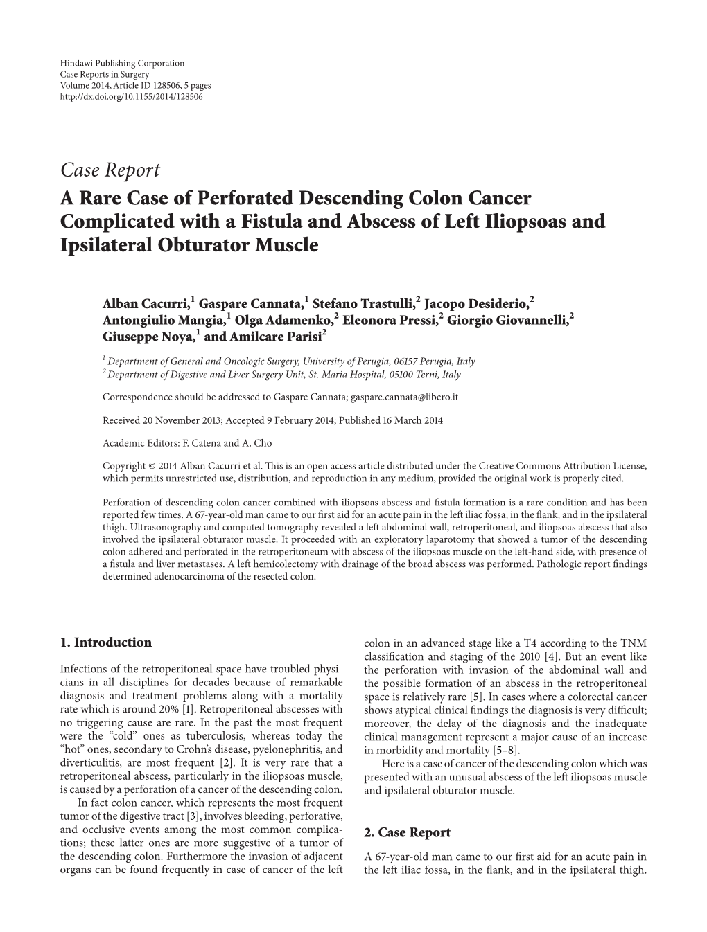 A Rare Case of Perforated Descending Colon Cancer Complicated with a