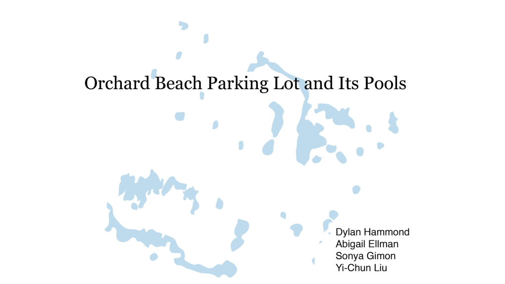Orchard Beach Hammond Ellm