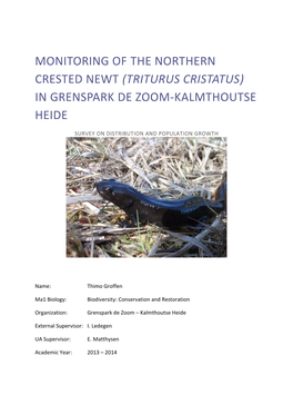 Triturus Cristatus) in Grenspark De Zoom-Kalmthoutse Heide