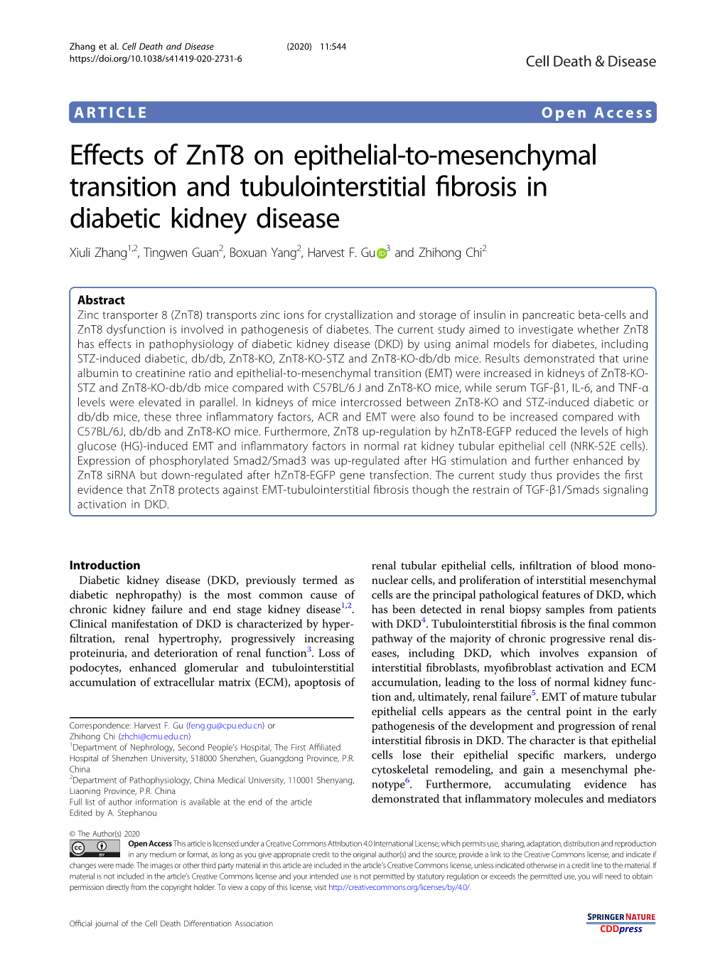 Effects of Znt8 on Epithelial-To-Mesenchymal