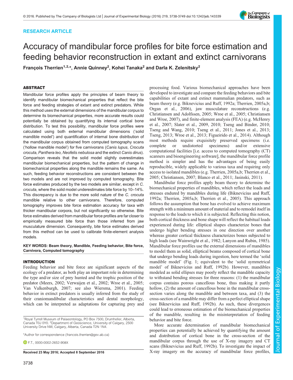 Accuracy of Mandibular Force Profiles for Bite Force Estimation and Feeding