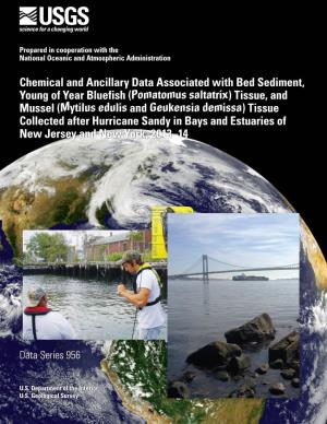 Chemical and Ancillary Data Associated with Bed Sediment