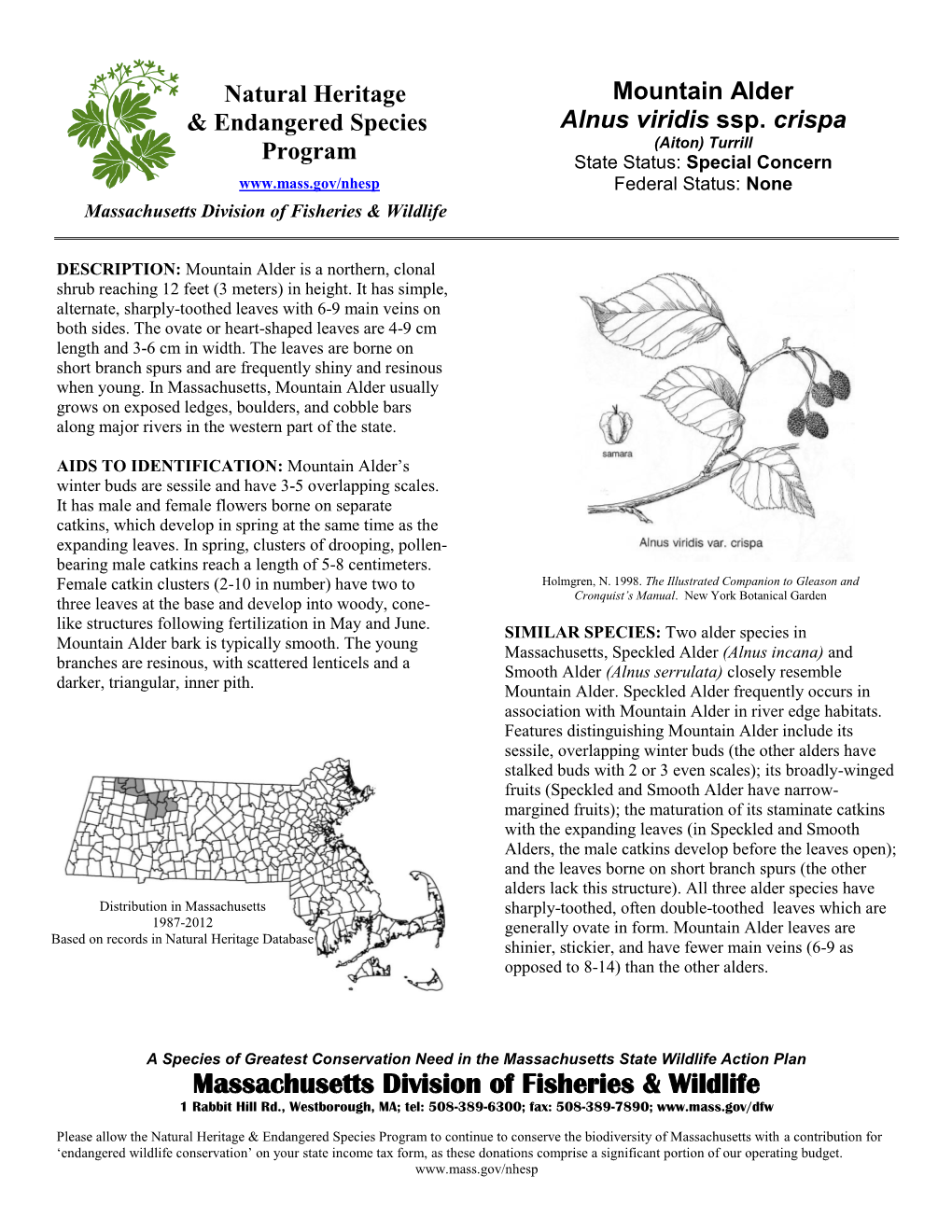 Mountain Alder & Endangered Species Alnus Viridis Ssp