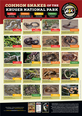 Common Snakes of the Kruger National Park