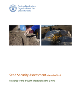 Seed Security Assessment– Lesotho 2016