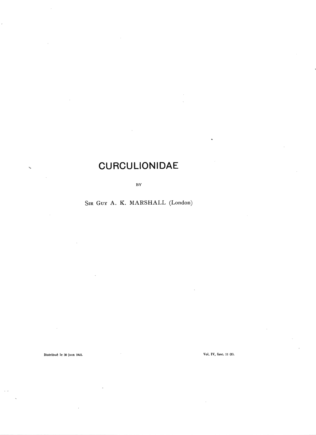 Curculionidae