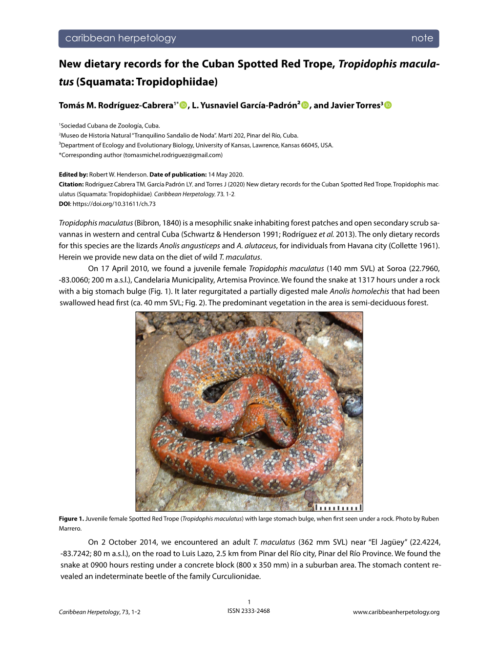 New Dietary Records for the Cuban Spotted Red Trope, Tropidophis Macula- Tus (Squamata: Tropidophiidae)