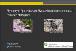 Phylogeny of Apioceridae and Mydidae Based on Morphological Characters of Imagines