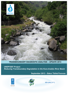Transboundary Diagnostic Analysis – Update 2013
