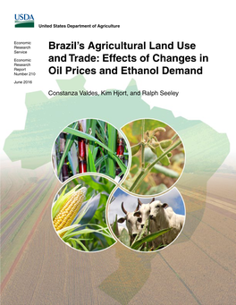 Brazil's Agricultural Land Use and Trade