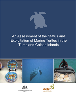 An Assessment of the Status and Exploitation of Marine Turtles in the Turks and Caicos Islands