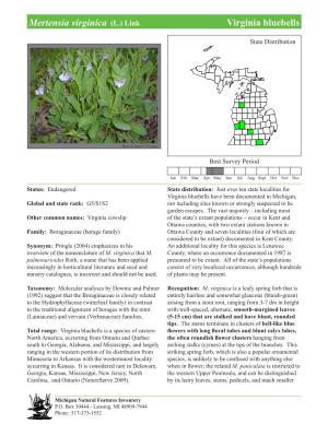 Mertensia Virginica (L.) Link Virginiavirginia Bluebellsbluebells, Page 1