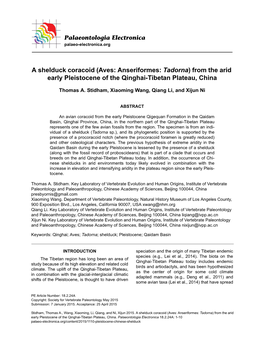 A Shelduck Coracoid (Aves: Anseriformes: Tadorna) from the Arid Early Pleistocene of the Qinghai-Tibetan Plateau, China