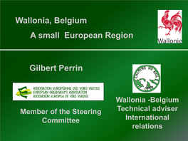 Wallonia, Belgium Gilbert Perrin a Small European Region