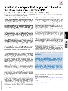 Structure of Eukaryotic DNA Polymerase Δ Bound to the PCNA Clamp While Encircling DNA