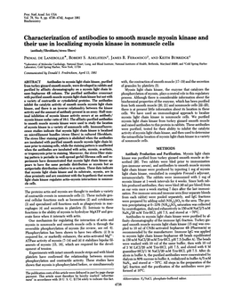 Their Use in Localizing Myosin Kinase in Nonmuscle Cells (Antibody/Fibroblasts/Stress Fibers) PRIMAL DE LANEROLLE*, ROBERT S